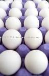 Fresh White shell Eggs