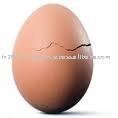 brown Eggs Wholesale