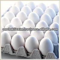 Indian Fresh White Chicken Eggs