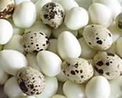 COOKED QUAIL EGGS