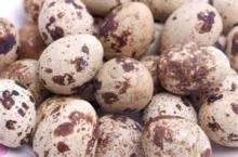Healthy Quail Eggs