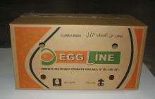 Chicken Eggs