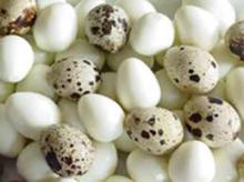 Fresh Quail Egg for sale