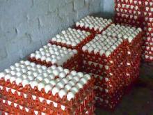 Fresh Egg from Thailand (White and Brown shelter @ sppenburritrade.ltd@gmail.com)