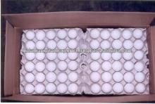 White Egg