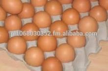 Affordable farm fresh chicken eggs for sale