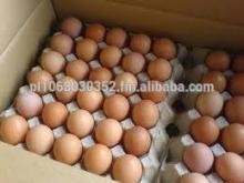 Best Quality chicken table eggs supplier