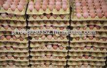 Farm Fresh Chicken  Egg s Exports