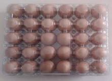 White and Brown Fresh Chicken Eggs