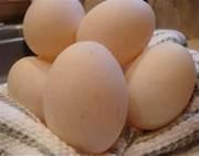 Best Quality Fresh Brown Chicken Eggs