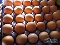 fresh egg brown