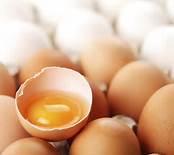 Farm Fresh White Shell Eggs