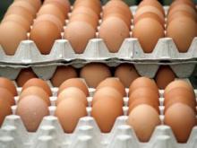 WHITE AND BROWN FRESH CHICKEN EGG