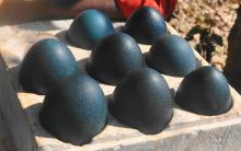 Emu and  Ostrich   hatching   eggs 
