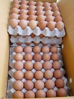 Farm  Fresh   White   Chicken   Eggs 