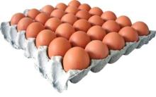 Fresh Egg Brown & White
