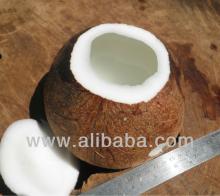 *Organic Coconut 1to2kg/pcs CNF USD 0.60/kg by SeaFreight