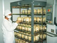 Fresh Ostrich eggs and chicks for exportation.Contact us on our website at(www.birdsbreed.webs.com)