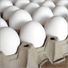 30.000 Fresh Ostrich eggs and chicks for exportation.Contact us on our website at(www.birdsbreed.web
