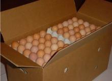 Farm Fresh Chicken Eggs