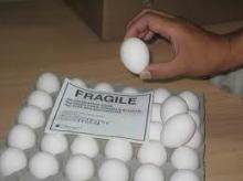Farm Fresh White Shell Eggs