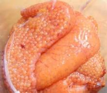Trout Roe/ Fresh Trout Roe/ Frozen Trout Roe/ Dried Trout Roe/ Seasoned Trout Roe/ Preserved Trout R