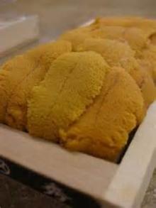  Sea   bass  Roe/ Fresh  Sea   bass  Roe/  Frozen   Sea   bass  Roe/  Sea soned  Sea   bass  Roe/ Dried  Sea   bass  Roe