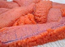  Salmon   Roe / Fresh  Salmon   Roe / Frozen  Salmon   Roe / Preserved  Salmon   Roe / Dried  Salmon   Roe / Canned Salm