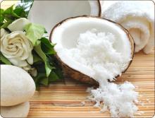 VIETNAM DESICCATED COCONUT