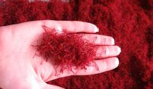 saffron filament