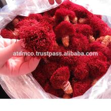 packed persian saffron