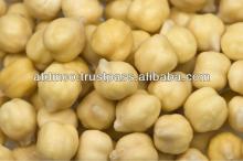 IRAN FARMER OF CHICKPEAS
