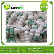 China Fresh White Garlic