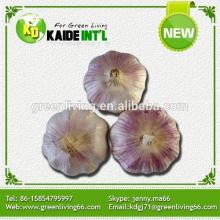 Chinese New Crop Garlic