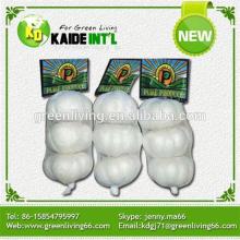 2014 Fresh Pure Garlic