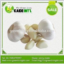 Pure/Normal White Garlic (Low Price)