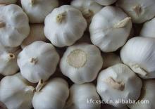 Jining garlic new crop for sale