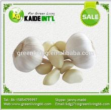 2014 Natural Garlic Fresh Garlic