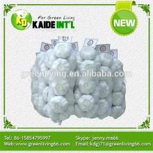 Bulk Fresh Garlic In China (Low Price)