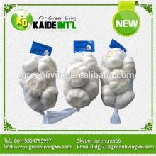  Different  Type Package Garlic (Low Price)