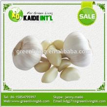  New   Crop ped  Pure   White   Garlic  (Low Price)