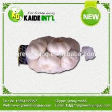 China Farm Fresh White Garlic (Low Price)