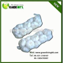 Fresh Chinese Pure White Garlic 5.0-5.5cm (Low Price)