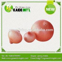 Wholesale 2014  Fresh  Red  Onion 