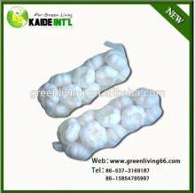Fresh Chinese Normal White Garlic