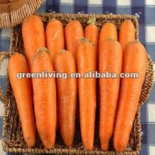 Carrot price 2012