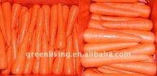 carrot storage of China