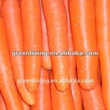2012 fresh carrot in plastic bag