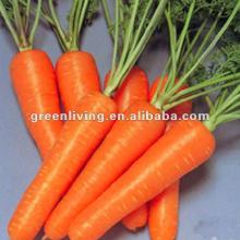 frozen carrot
