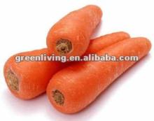 2012 FRESH CARROT SHANDONG NEW